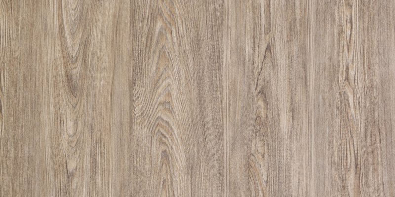 Ель Карпатская 203-6т