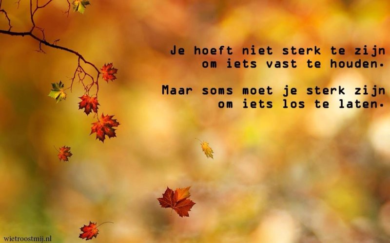 Осенний фон