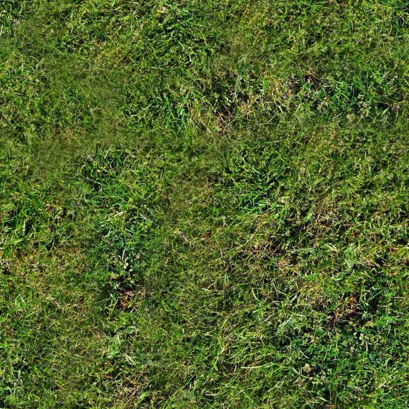 Газон текстура