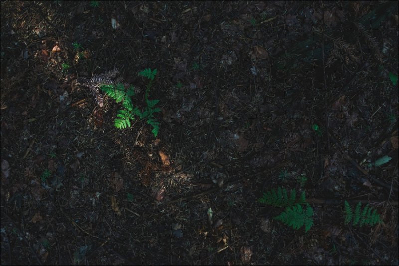 Текстура земли