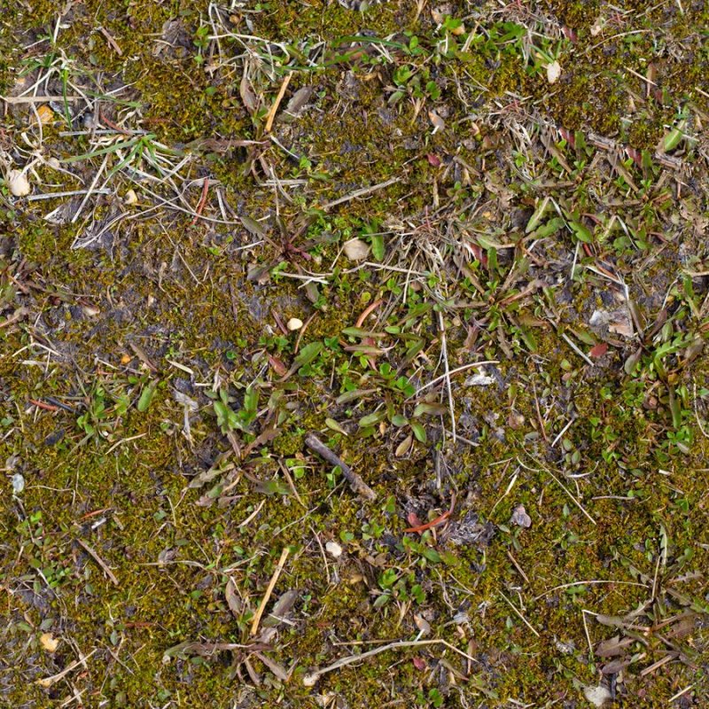 Текстура земли с травой