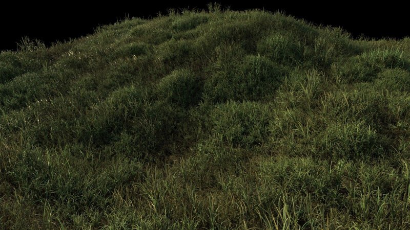 Текстура травы