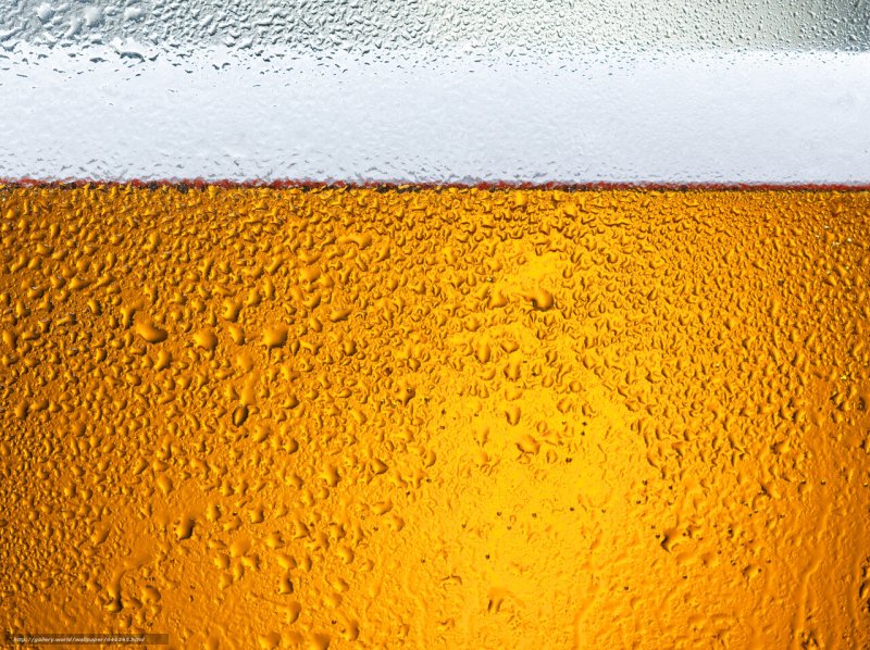 Пивная пена