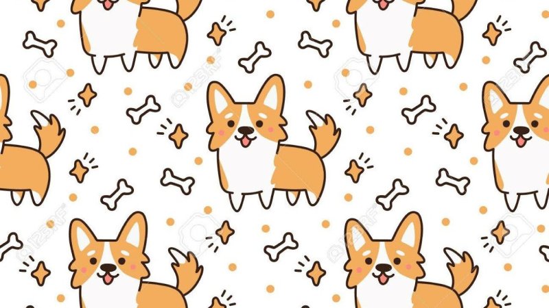 Корги фон