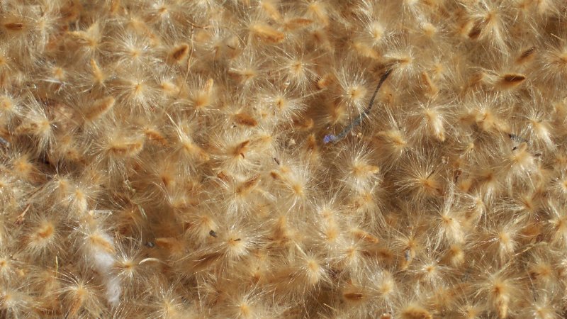 Бесшовные текстуры