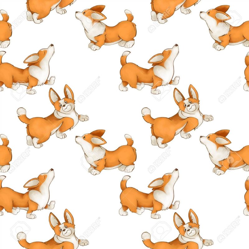 Принт вельш корги