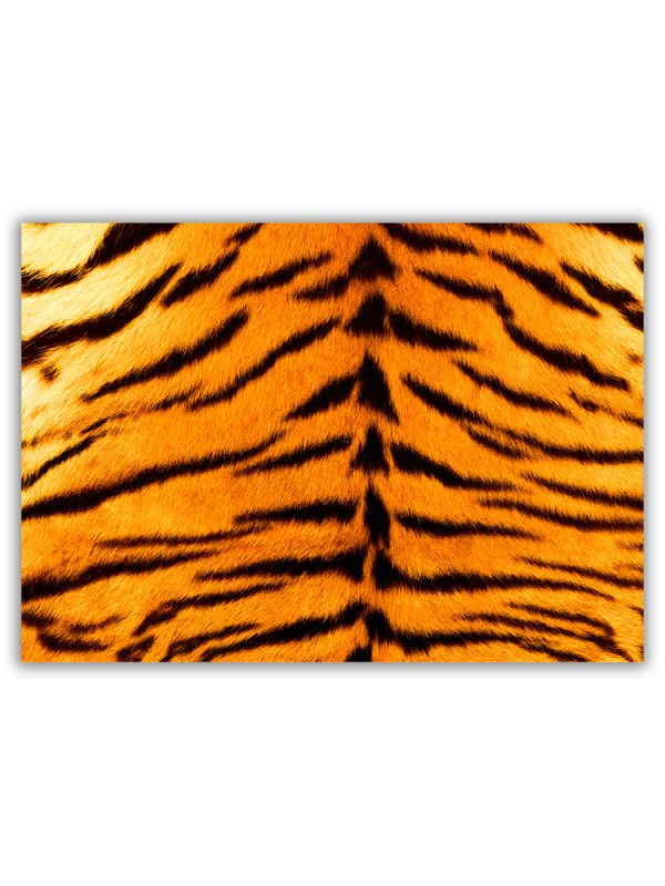 Тигровая шкура