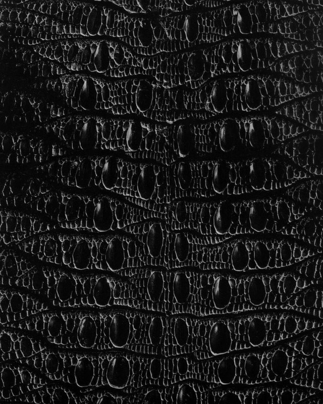 Кожа крокодила текстура