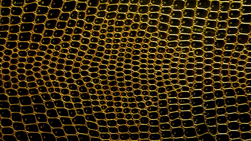 Змеиная кожа текстура