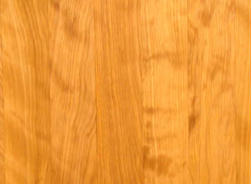 Береза текстура древесины