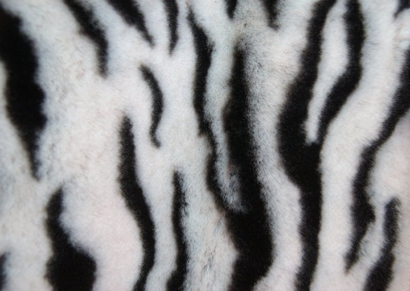 Тигровый мех