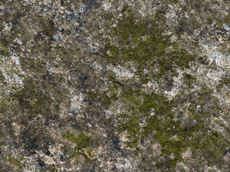 Текстура замшелого булыжника