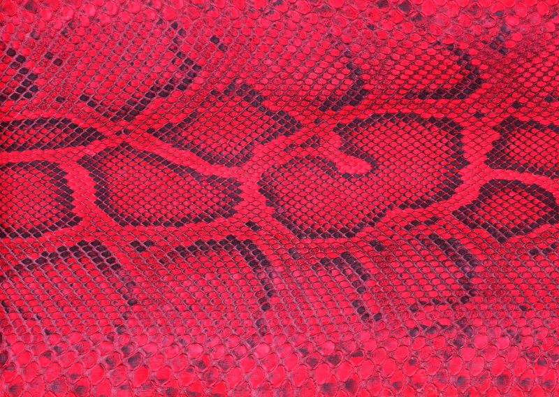 Змеиный принт питон