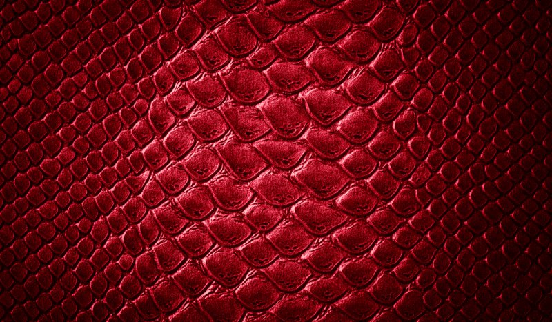Крокодилья кожа