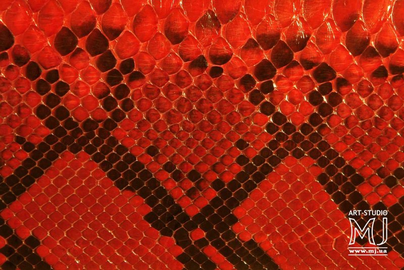 Змеиная кожа