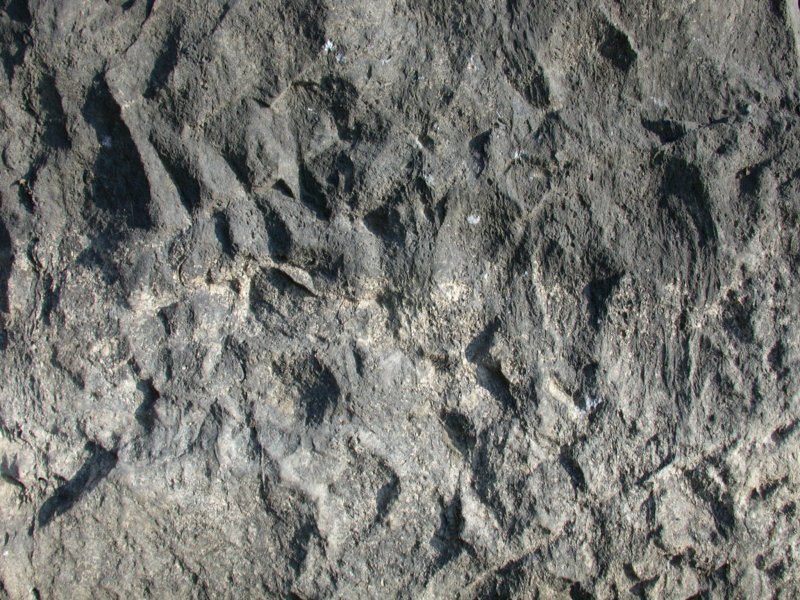 Текстура камня