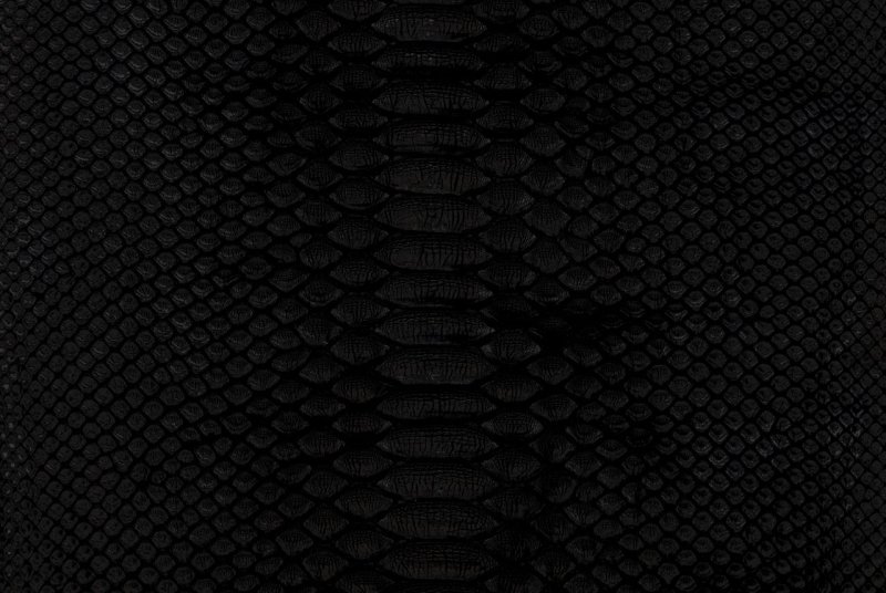 Чешуя Блэк мамбы