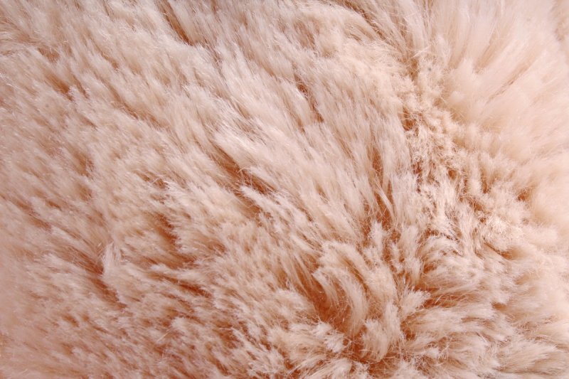 Текстура шерсти
