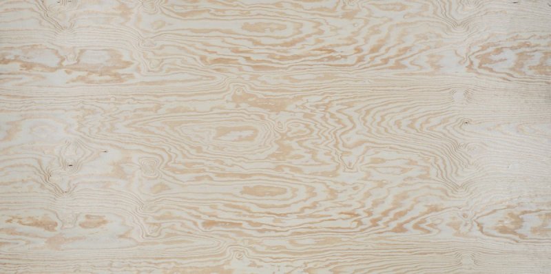 Береза текстура древесины