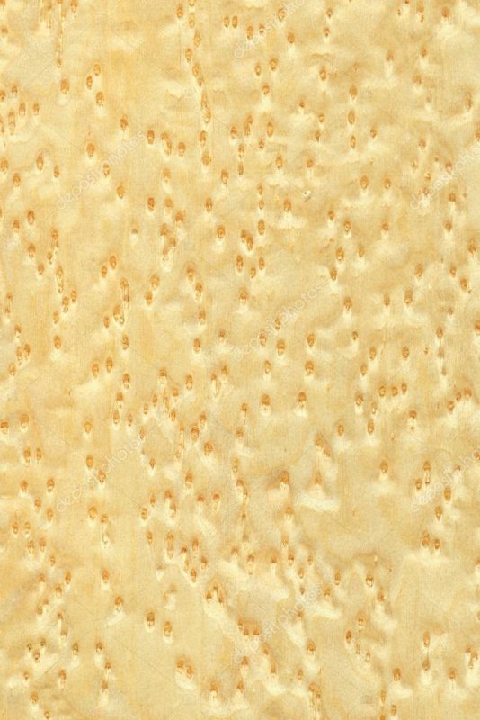 Вудсток клен птичий глаз