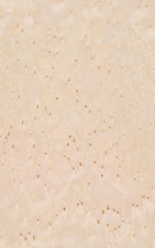 Шпон клен птичий глаз