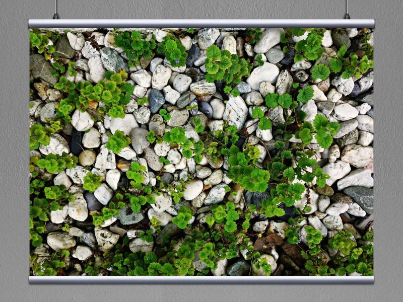 Текстура булыжника