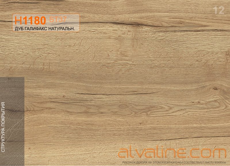 Дуб Галифакс h1180