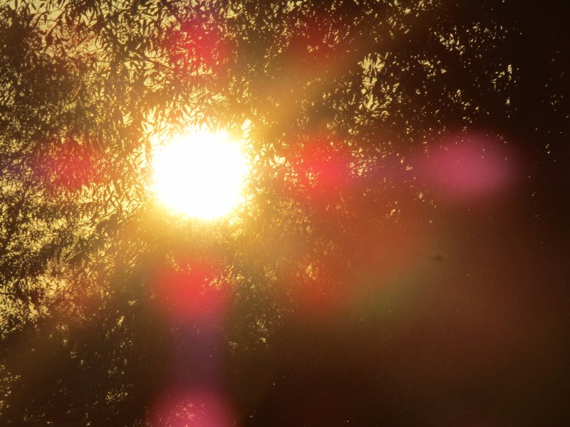 Текстура солнца