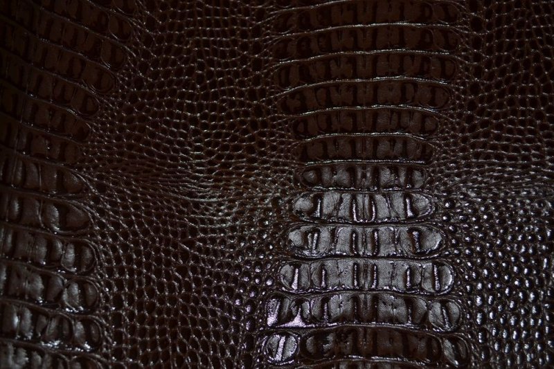 Кожа каймана натуральная