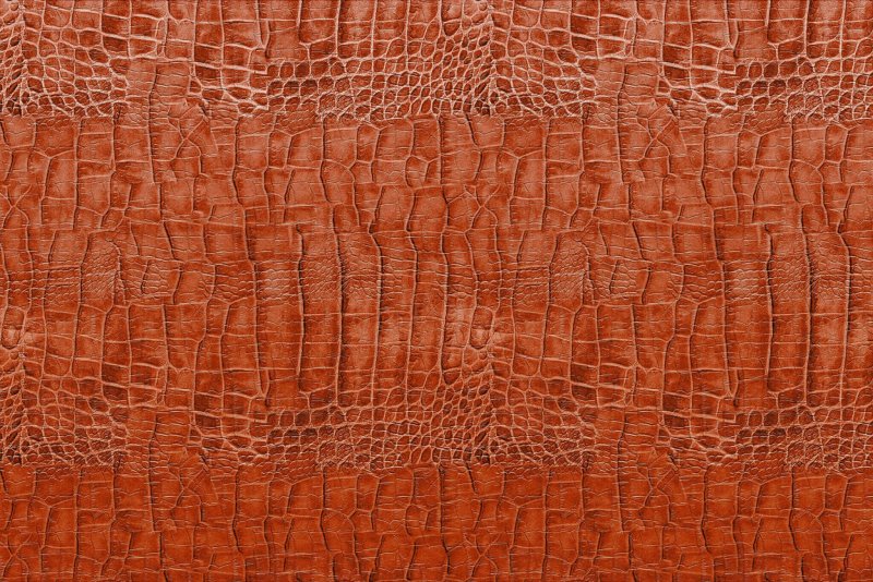 Текстура кожи