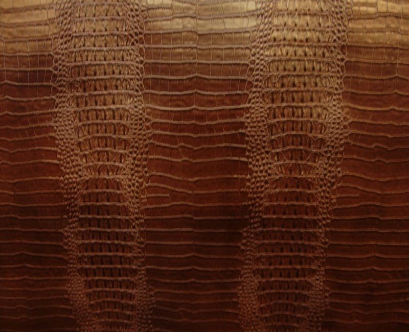 Кожа крокодила коричневая