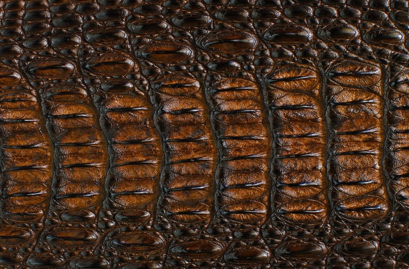 Коричневая кожа текстура