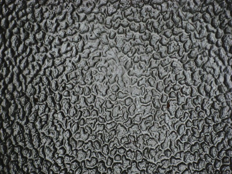 Фактурный металлический лист