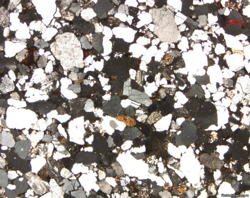 Алевролиты и аргиллиты