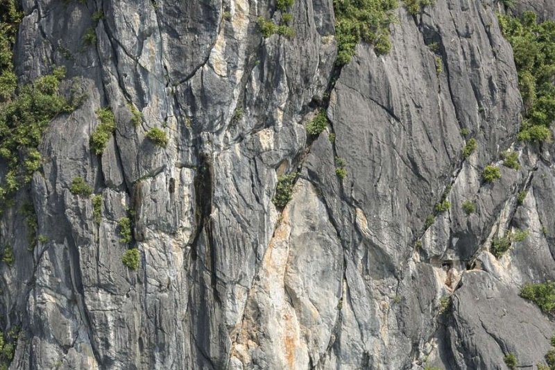 Текстура скалы