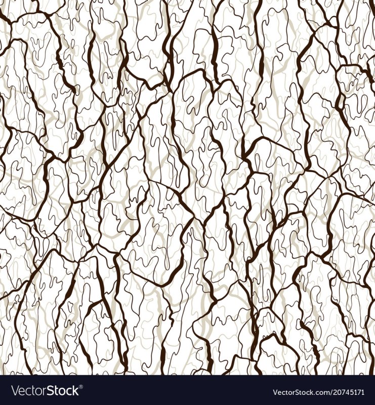 Текстура дерева