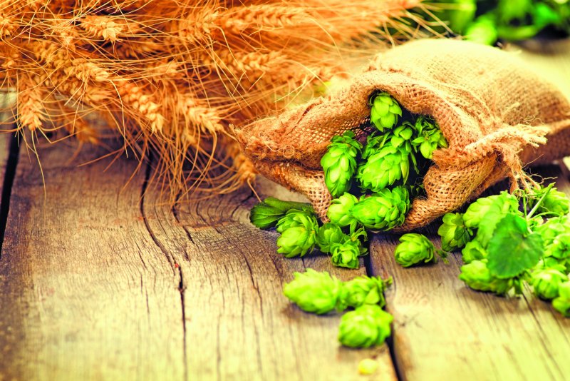 Хмель на деревянном столе