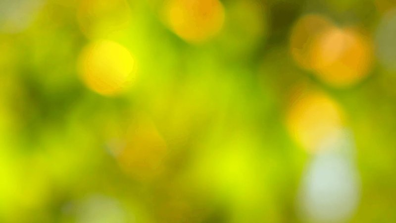 Оранжевый блик