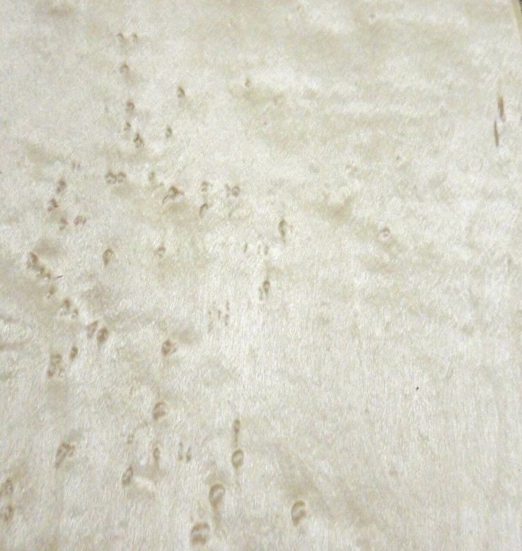 Шпон клен птичий глаз