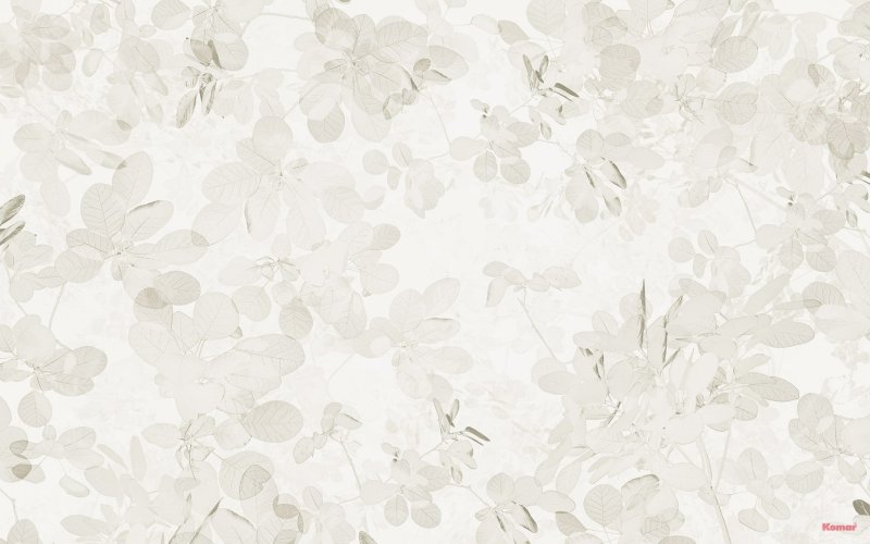 Светлые обои