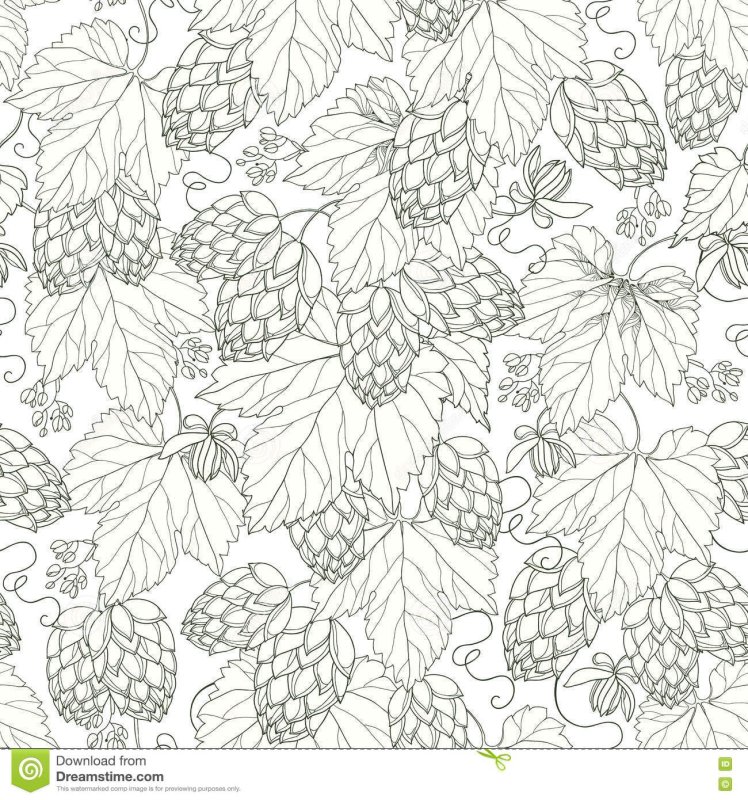 Хмель паттерн вектор