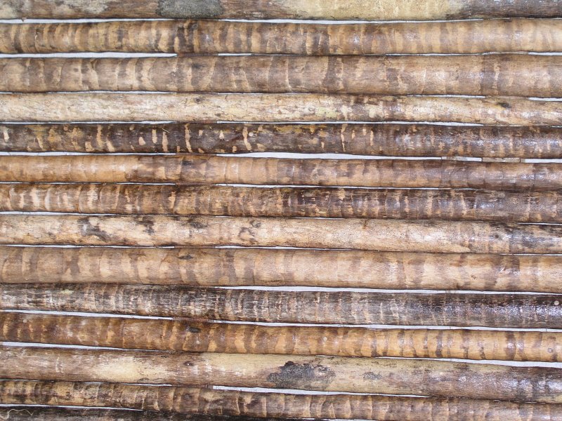 Деревянная палrа текстура