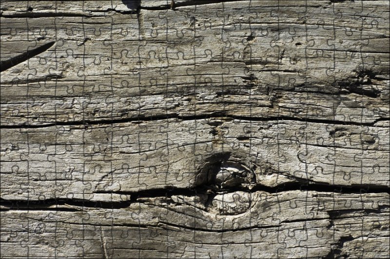 Фактура дерева