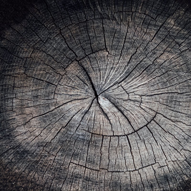 Трещина в дереве