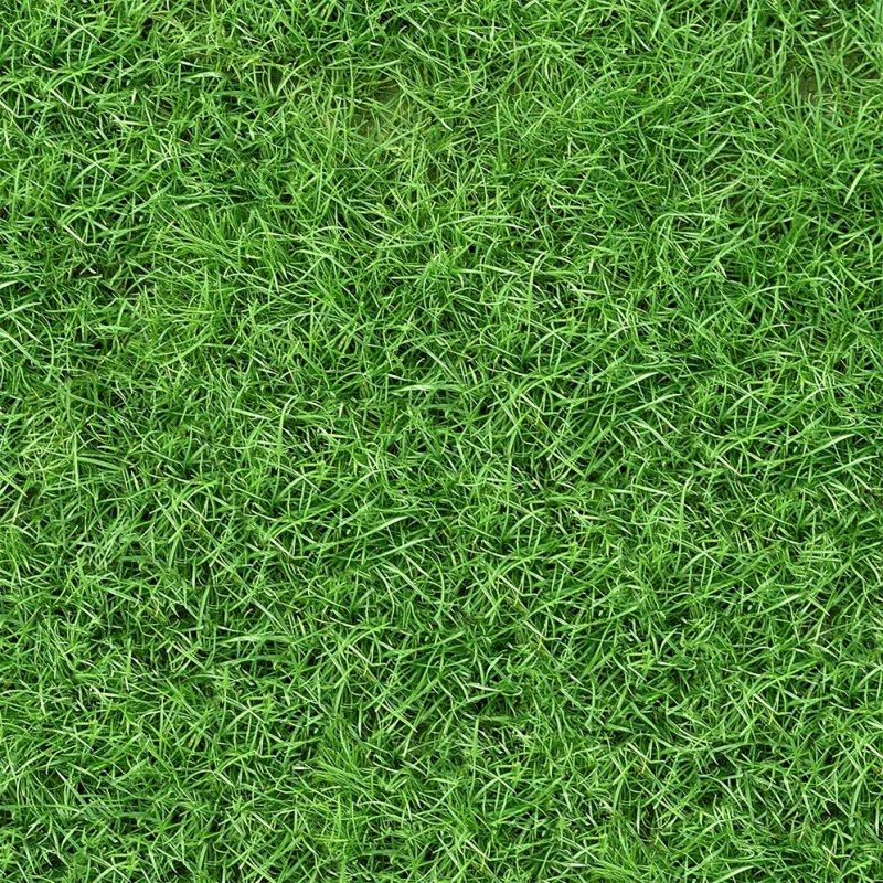 Текстура травы мультяшная