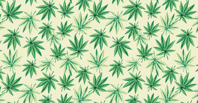 Паттерн канабис