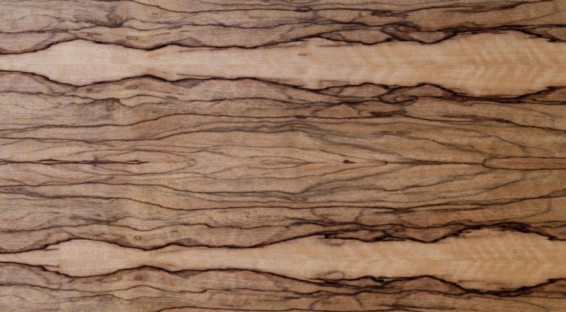 Блэк Офрам дерево