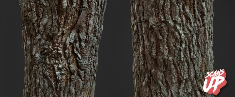 Текстура дерева без коры