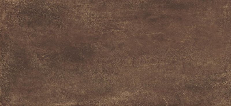 Ilario Brown Paradyz