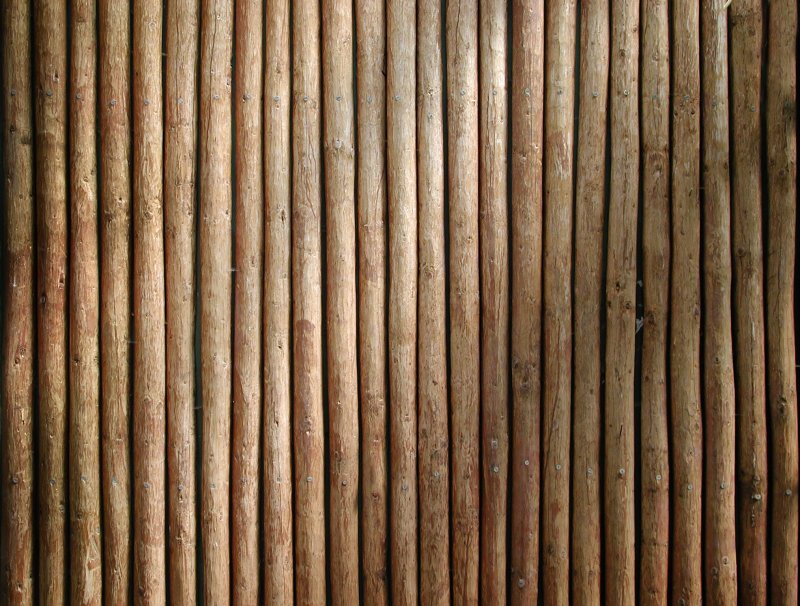 Текстура бревна